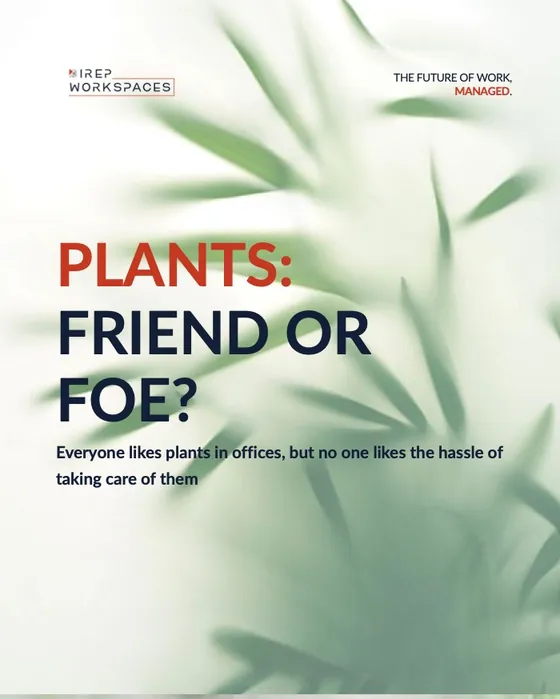 LinkedIn post: Office plants: friend or foe?